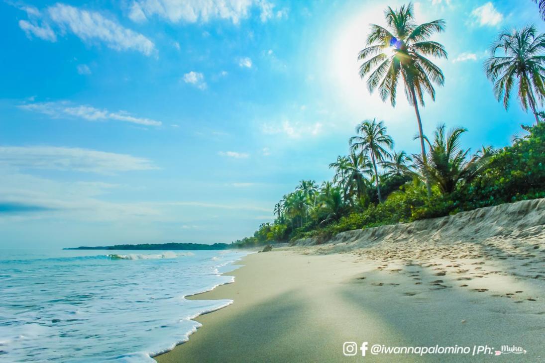 I Wanna Palomino Hotel Luaran gambar